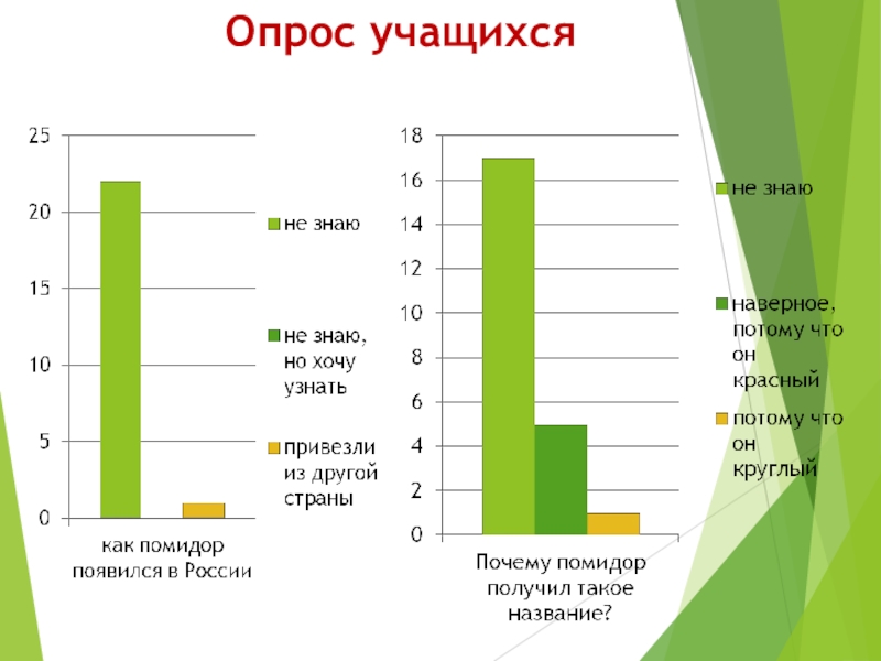 Как сделать диаграмму опроса для школьного проекта