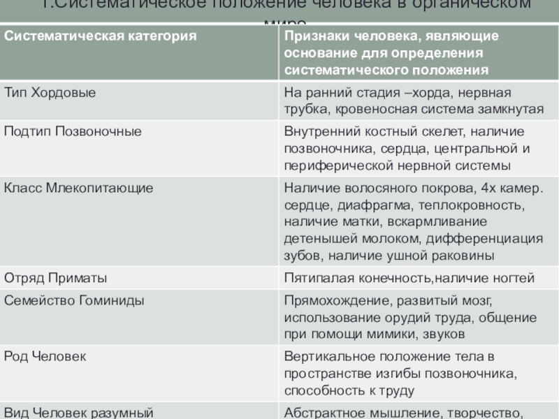 Реферат: Типы тканей в организме человека