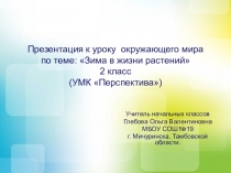 Презентация по окружающему миру Зима в мире растений (2 класс УМК Перспектива)