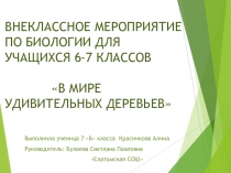 Презентация. Внеклассное мероприятие по биологии В мире удивительных деревьев (6-7 кл.)