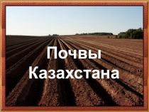 Презентация Почвы Казахстана, 8 класс