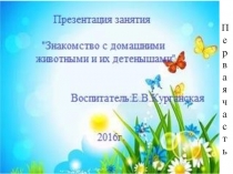 Конспект занятия с детьми младшей группы по развитию речи Домашние животные и их детеныши