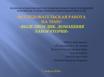 Презентация исследовательского проекта по биологии на темуДНК из банана 6 кл.