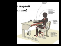 Презентация к уроку Строение растительной клетки