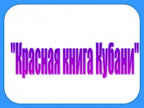 Презентация по кубановедению на тему: Красная книга Кубани