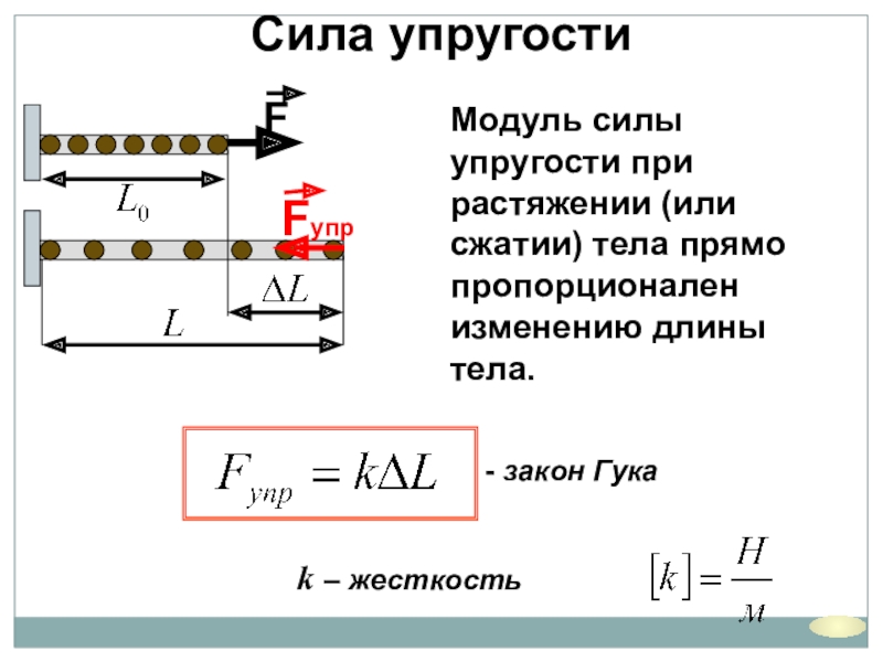 Модуль силы упругости растянутого жгута к жесткость жгута изображенного на правом рисунке равен