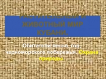 Презентация по кубановедению на тему Обитатели лесов, гор, черноморского побережья. Охрана природы.