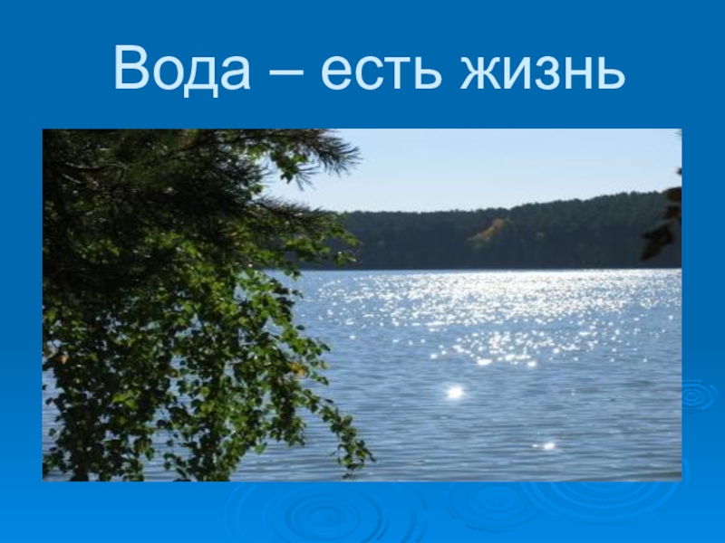 Вода есть жизнь