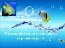 Презентация по биологии на тему Местообитания и внешнее строение рыб (7 класс)