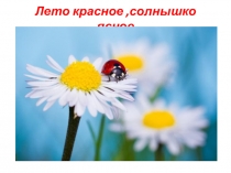 Презентация ко дню защиты детей Здравствуй, ЛЕТО