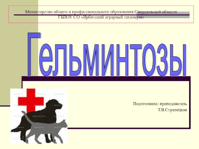 Презентация Методическая разработка и презентация внеклассного мероприятия по специальности Ветеринария