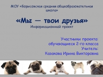 Информационный проект : Твои друзья - животные