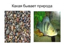 Обобщающий урок по биологии ФГОС (5 класс)