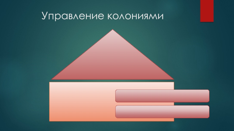 Управление колониями. Проверь себя управление колониям.