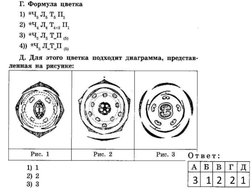 Диаграммы цветов по семействам