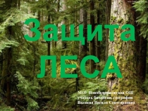 Презентация по географии на тему Защита леса (8 класс)