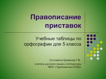 Презентация по русскому языку на тему Правописание приставок