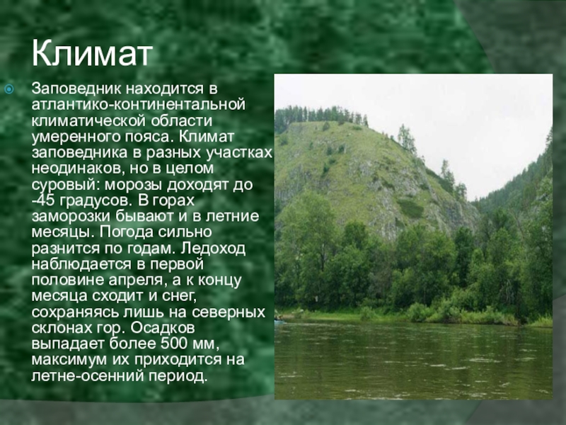 В каком заповеднике находится. Башкирский Урал заповедник. Заповедники Башкортостана презентация. Башкирский заповедник презентация. Башкирский заповедник сообщение.