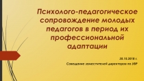 Организация работы с молодыми специалистами