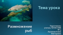 Презентация по естествознанию на тему Размножение рыб
