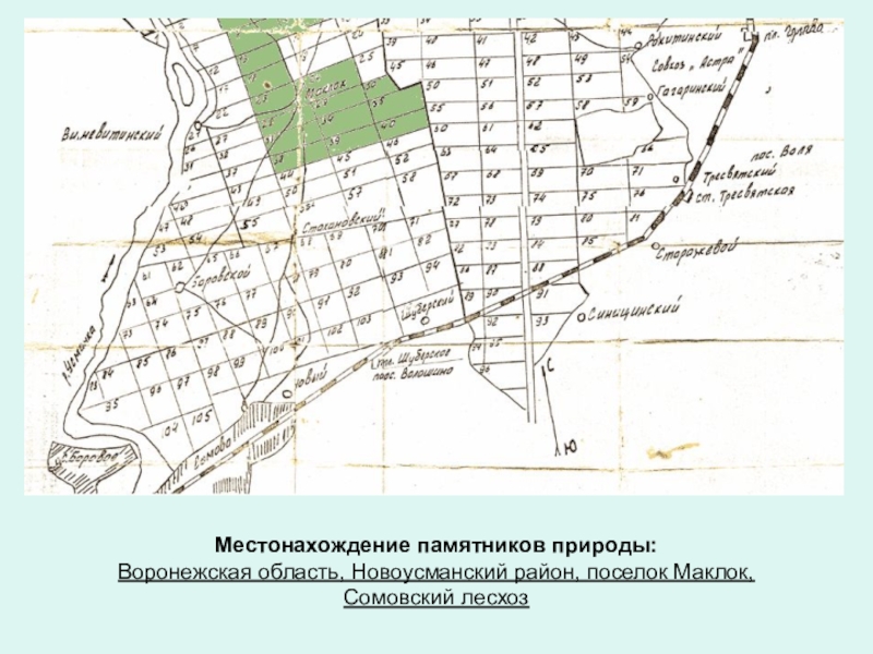 План воронежского заповедника