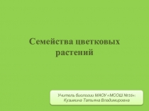 Презентация по биологии на тему Семейства класса Двудольные (6 класс)