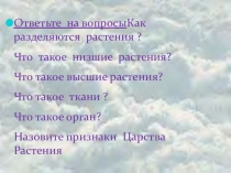 Тема Водоросли открытый урок