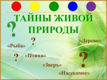Презентация по окружающему миру Тайны живой природы