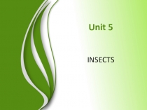 Презентация Insects, Spotlight 5