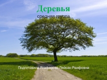 Деревья(средняя группа)