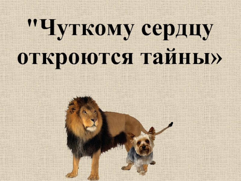 Л н толстой лев и собачка презентация 3 класс школа россии