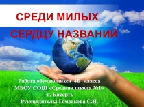 Проектная работа в начальной школе.