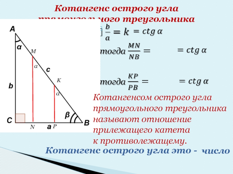 Котангенс острого угла  прямоугольного треугольникаMNKPααКотангенсом острого угла прямоугольного треугольника называют отношение прилежащего катета к противолежащему.Котангенс острого