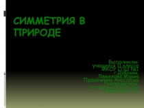 Презентация по геометрии на тему Симметрия в природе