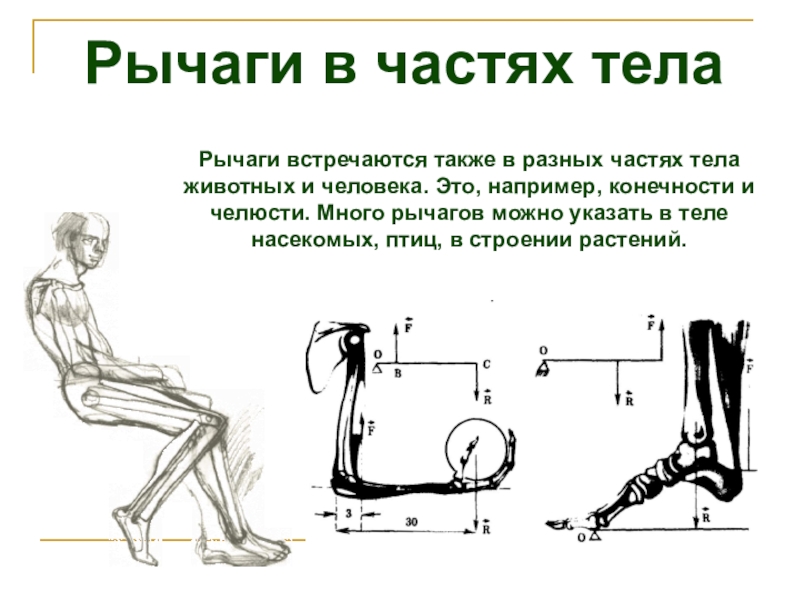 Физика в быту проект