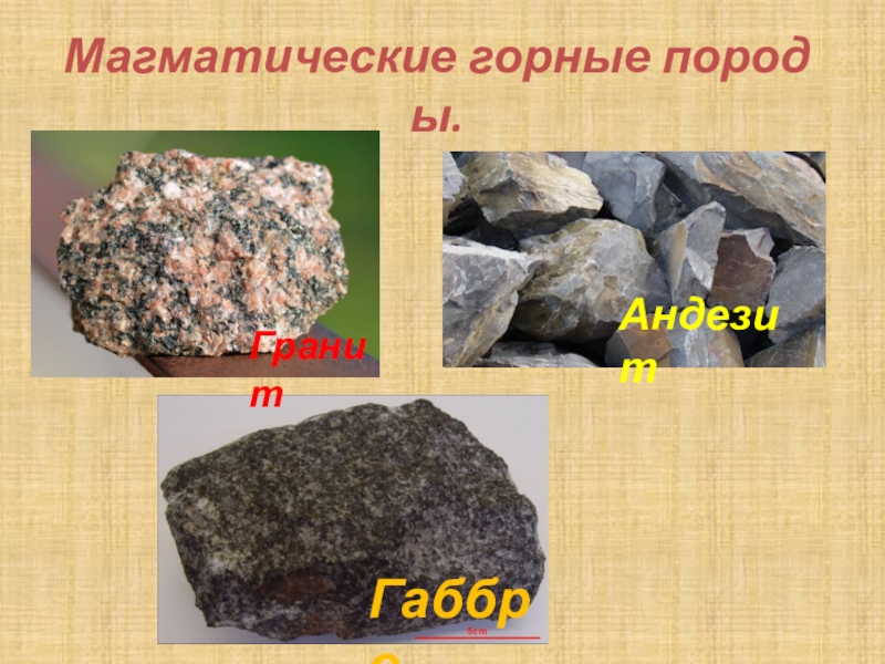 Что относится к магматическим горным породам