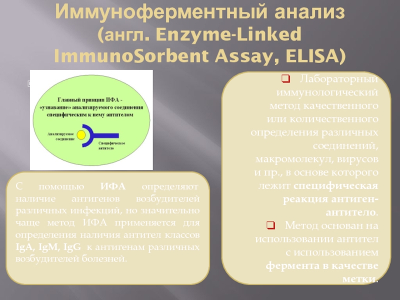 Иммуноферментный анализ (англ. Enzyme-Linked ImmunoSorbent Assay, ELISA)  Лабораторный иммунологический метод качественного или количественного определения различных соединений,