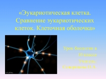 Презентация по биологии Эукариотическая клетка