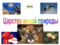 Презентация. Царства живой природы.