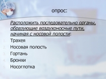 Презентация к уроку Газообмен в лёгкитх и тканях (8 класс)