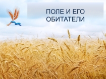 Поле и его обитатели