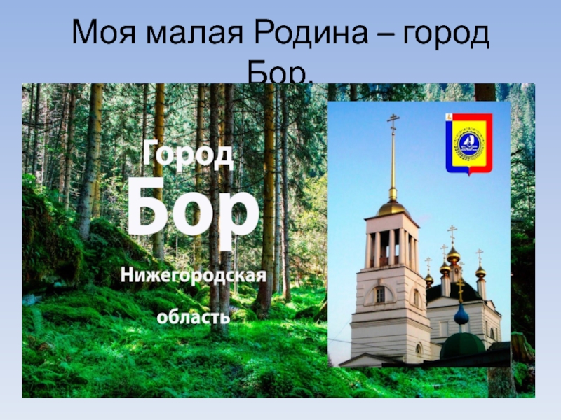 Проект город бор