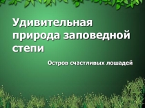 Презентация по технологии на тему Степные мустанги