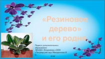 Презентация Резиновое дерево 4-6 класс