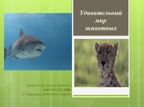 Презентация по биологии на тему Удивительный мир животных