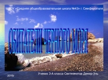 Презентация Обитатели Черного моря