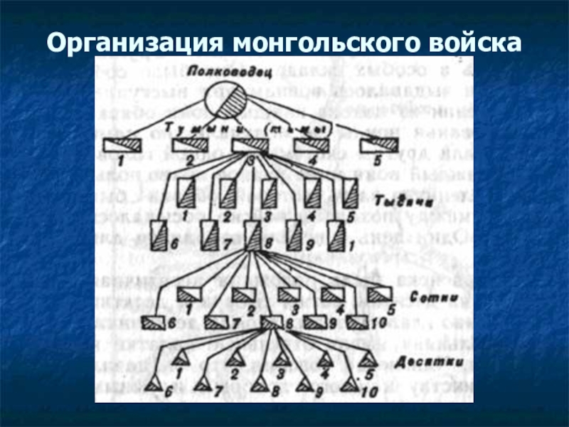 Перед тобой схема структуры монгольской армии впиши название самой крупной тактической единицы