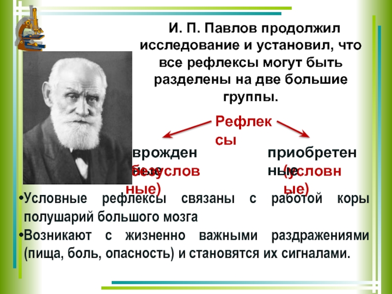 Вклад отечественных ученых в разработку учения о высшей нервной деятельности презентация