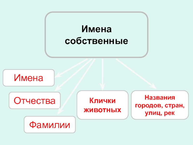 Собственное название