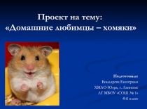 Презентация по окружающему миру на тему: Любимые животные - хомяки.